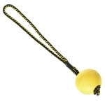 Ball with a magnet and a handle