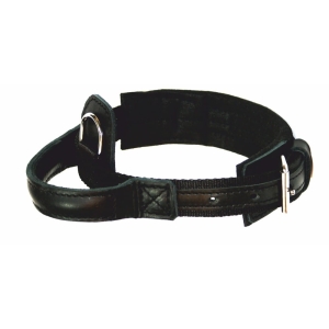 Dog collar with a handle HEROS