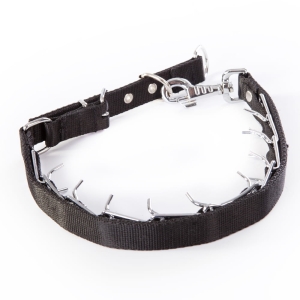 Hidden spiked collar with nylon strap