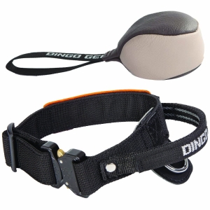 Set - collar COBRA with a handle+ leather ball