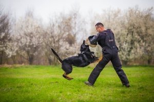Light training suite made of codura - trousers