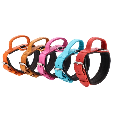 Obroża skórzana z rączką DRAGO , dostępna w pięciu kolorach