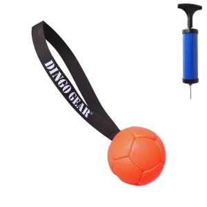 Ball + Pump Set