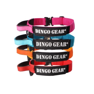 Obroża z taśmy z rączką  COBRA