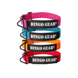 Obroża COBRA z taśmy bez rączki  