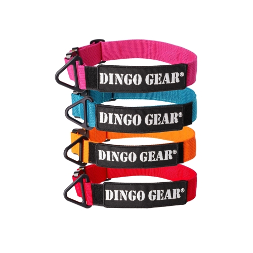 Obroża COBRA z taśmy bez rączki 4 kolory