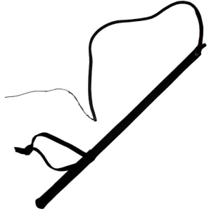 Whip - leather tip